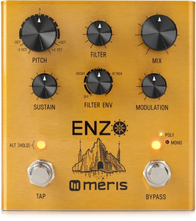 L*c様 meris ENZO Meris Enzo X | The Pedal Zone