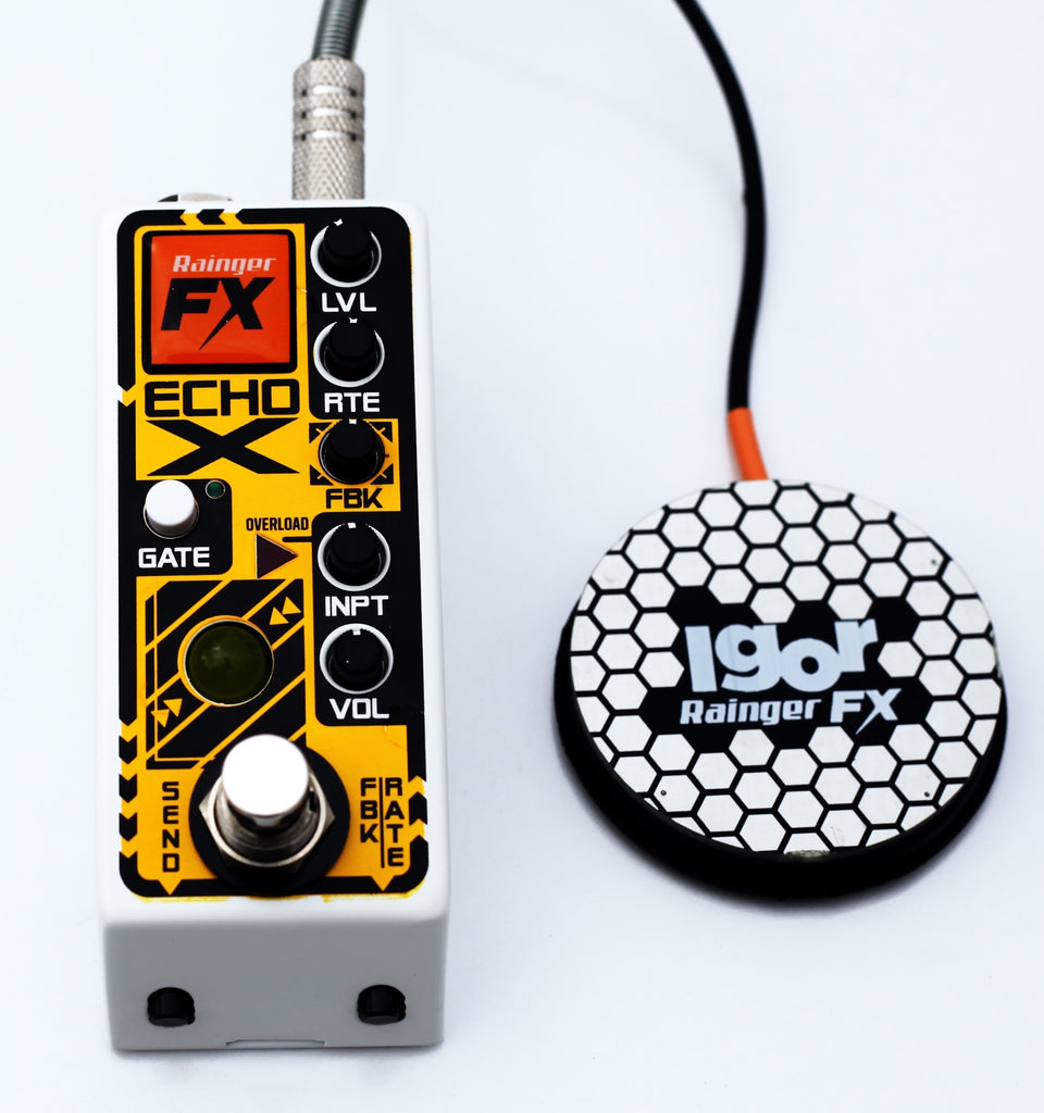 rainger fx pedals Echo-X