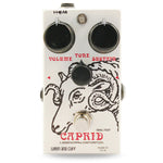 Caprid